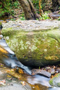 Doğal Park, Tayland 'da Wang Bua Ban şelalesinde su akışı.