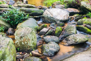 Doğal Park, Tayland 'da Wang Bua Ban şelalesinde su akışı.