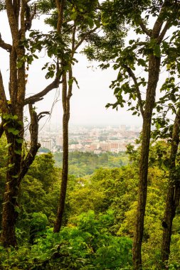 Ağaç önplanlı Chiangmai şehri manzarası, Tayland.