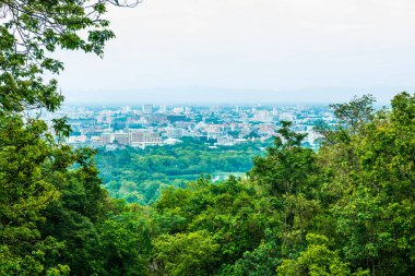 Ağaç önplanlı Chiangmai şehri manzarası, Tayland.