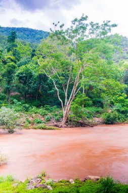 Ob Luang Ulusal Parkı, Tayland 'da sel baskını.