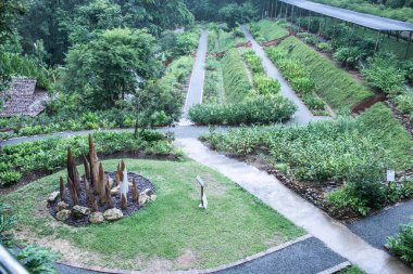 Queen Sirikit Botanik Bahçesine park et, Thauland.