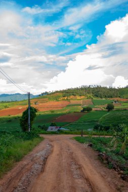 Chiang Mai, Tayland 'da Mae Chaem bölgesinin dağ manzaralı tarım alanı.