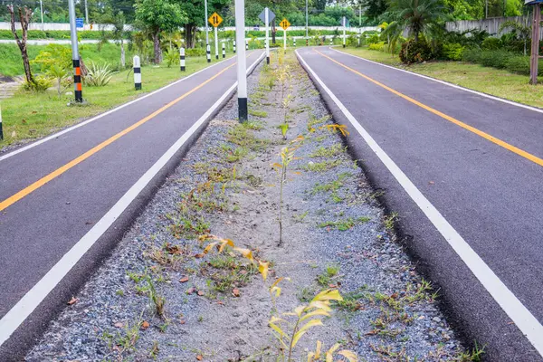 Tayland 'ın Chiangmai şehrinde bisiklet yolu.