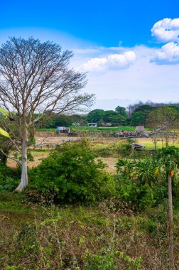 The bamboo bridge with rice field at Phrathat San Don temple, Lampang province.