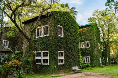 Vintage building with beautiful park in Chiang Mai province, Thailand.
