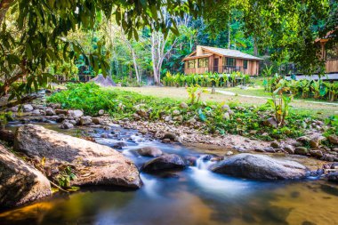 Tayland 'da küçük bir dere.