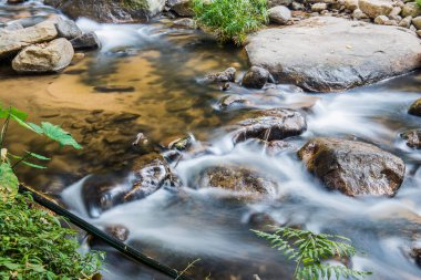 Tayland 'da küçük bir dere.