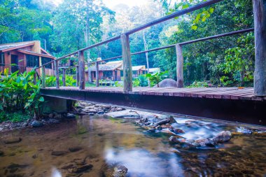 Tayland 'da küçük bir dere.