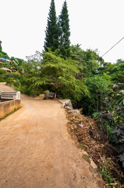 Park at Doi Pui Mong hill tribe village, Chiang Mai province.