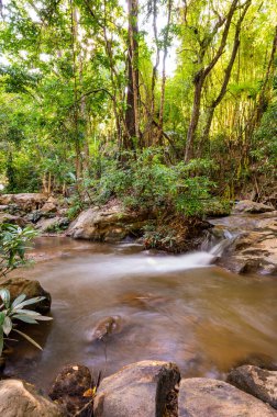 Mae Sa Noi Waterfall in Queen Sirikit Botanic Garden, Thailand.