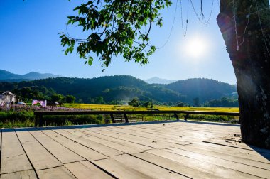 The Platform for Viewing in Flower Garden, Chiang Mai Province.