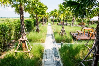 Bahçede yürü, Tayland 'da.