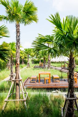 Tahta Masa Seti ve Tayland Park 'taki Ağaçlar.