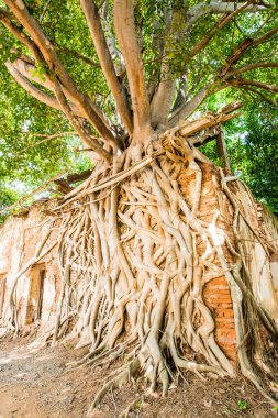 Kratai Tapınak, Tayland antik Tay kilisede seslendirdi.