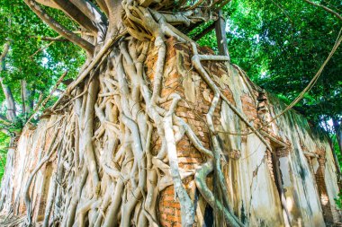 Kratai Tapınak, Tayland antik Tay kilisede seslendirdi.