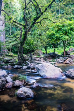 Tayland 'daki ulusal parktaki Klonglan şelalesinde su akıyor..