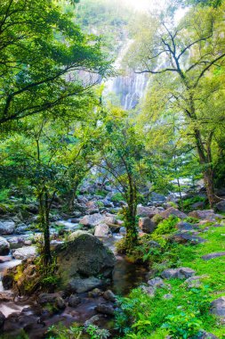 Ulusal Park, Tayland 'da Klonglan Şelalesi.