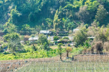 Tayland 'da küçük bir köy..