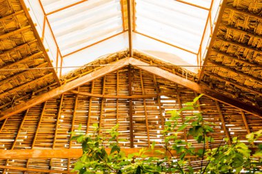 Çatı penceresi ve Yaprak Çatı, Tayland.