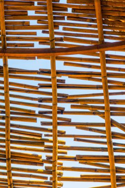 Bambu rendeliyor mavi gökyüzü, Tayland.
