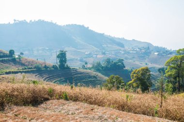 Tayland dağ manzarası, Tayland
