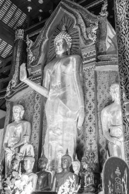 Wat Chedi Luang Tapınağında Buda duruyor, Tayland.