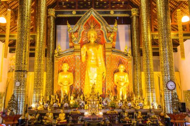 Wat Chedi Luang Tapınağında Buda duruyor, Tayland.