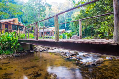 Tayland 'da küçük bir dere.
