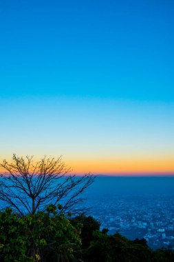 Chiangmai Eyaleti, Tayland 'da Sunset Time ile Ağaç Silueti.