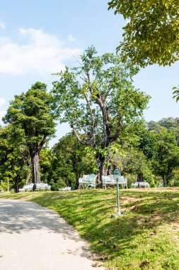 Tayland 'daki halk parkı..