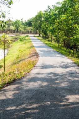 Kamu parkında, Tayland 'da.