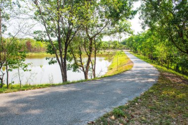 Kamu parkında, Tayland 'da.