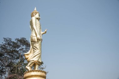 Phra 'da yürüyen altın Buda heykeli. Khao Noi tapınağı, Tayland.