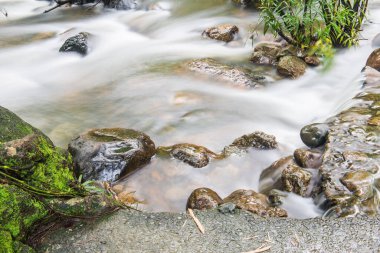 Tayland doğal parkında akan güzel su