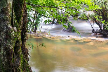 Tayland doğal parkında akan güzel su