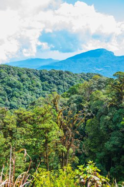 Tayland 'ın Chiangmai eyaletinde doğal manzara.