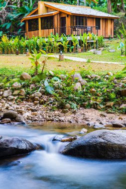 Tayland 'da küçük bir dere.