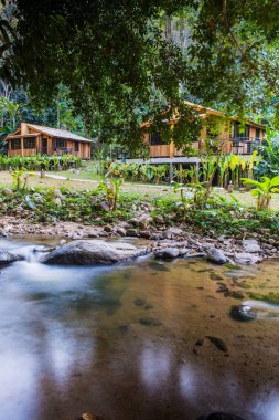 Tayland 'da küçük bir dere.