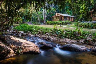 Tayland 'da küçük bir dere.