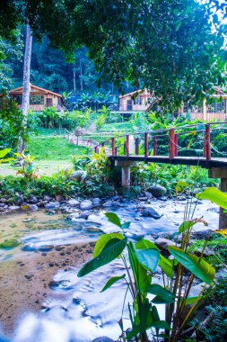 Tayland 'da küçük bir dere.