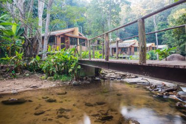 Tayland 'da küçük bir dere.