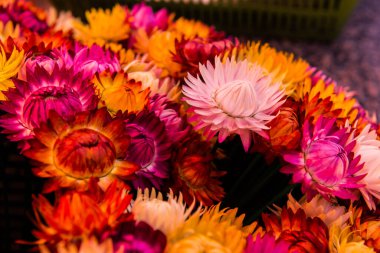 Taze Hasır Çiçeğinin Arkaplanı, Tayland.