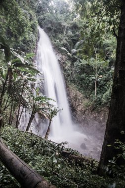 Khunkorn Şelalesi, Tayland, Chiang Rai bölgesinde..