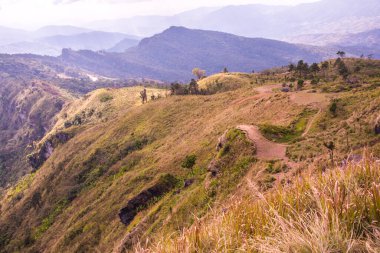 Chiangrai, Tayland 'daki Phu Chi Fa Dağı manzarası.
