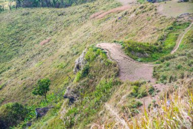 Chiangrai, Tayland 'daki Phu Chi Fa Dağı manzarası.