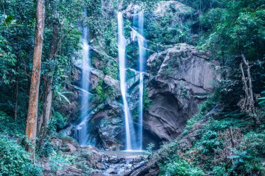 Tayland 'ın Chiangmai ilinde Mork Fa şelalesi.