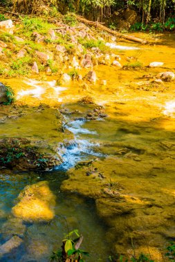 Su, Doi Phu Nang Ulusal Parkı, Tayland 'da akıyor..