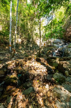 Mae kampong Şelalesi, Chiang Mai Bölgesi, Tayland.