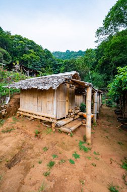 Park at Doi Pui Mong hill tribe village, Chiang Mai province.